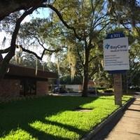 Liver, Pancreas, and Foregut