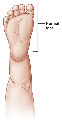 Outline of baby's leg showing bottom of foot.
