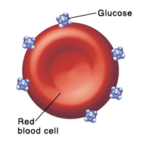 Red blood cell with glucose molecules stuck to it.