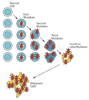 Genetic illustration demonstrating cell mutation