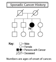 Genetic illustration demonstrating sporadic cancer history