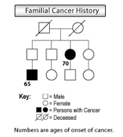 Genetic illustration demonstrating familial cancer history