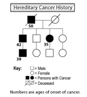 Genetic illustration demonstrating hereditary cancer history