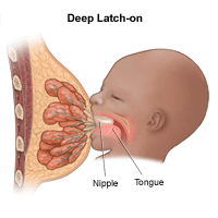 Illustration of breastfeeding, latch-on