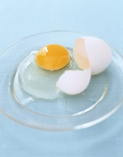 Photo of cracked raw egg on a plate