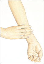 Palm view of hand and forearm. Another hand is feeling forearm with fingers.