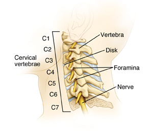 Image of a healthy cervical spine