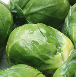 Brussels sprouts