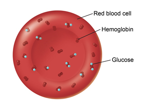 Managing Diabetes: The A1C Test