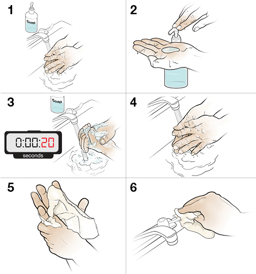6 steps in proper handwashing