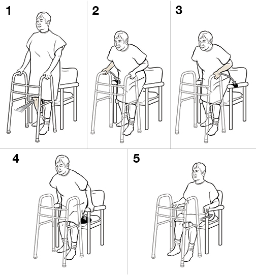 5 steps in sitting with a walker (weight bearing)