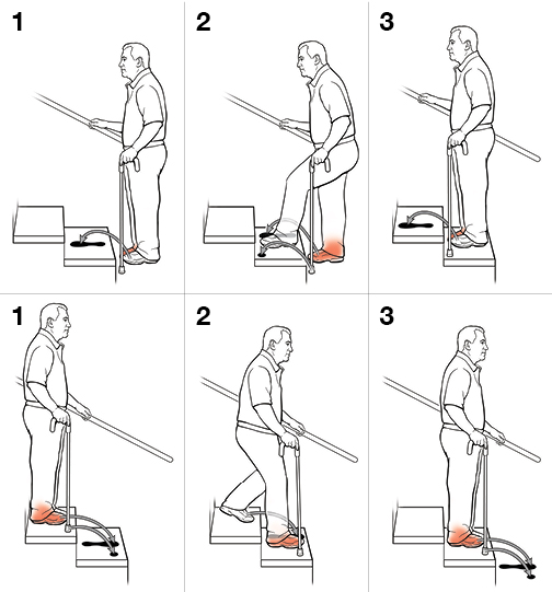 6 steps in using a cane on stairs