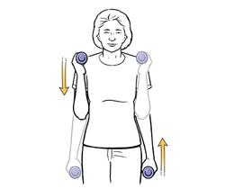 Woman doing elbow flexion exercise with hand weights.
