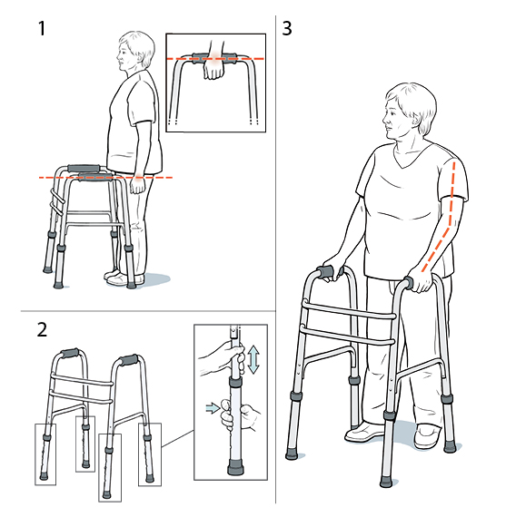 3 steps in fitting a walker.