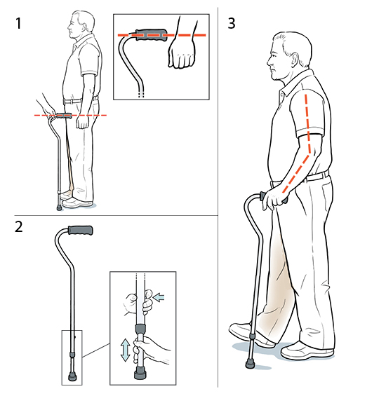 3 steps in fitting a cane.
