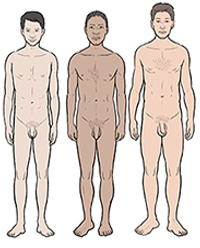 Three boys showing differences in development at age 18.
