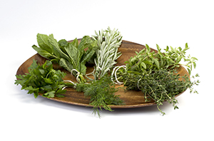 "A plate of assorted fresh herbs, mint, cilantro, sage, oregano, rosemary, dill, and thyme.