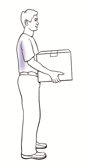Side view of a man safely lifting a box. After standing, the box is kept close to the body and the back is straight.