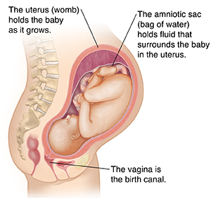 What Is Group B Strep?