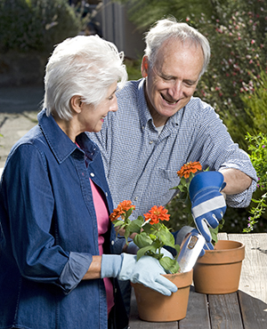 Senior man and woman gardening together.