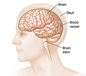 Injury head types of Brain Injuries