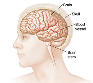 Head injury of types 5 Common