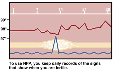 Sample graph of fertility chart showing body temperature, days of month, and cervical mucus type. To use NFP, you keep daily records of signs that show when you are fertile.