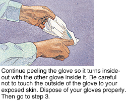 Third step in removing gloves safely.