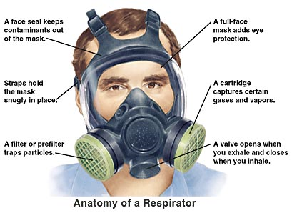 Anatomy of respirator. Face seal keeps contaminants out of mask. Straps hold mask snugly in place. Filter or prefilter traps particles. Full-face mask adds eye protection. Cartridge captures certain gases and vapors. Valve opens when you exhale and closes when you inhale.