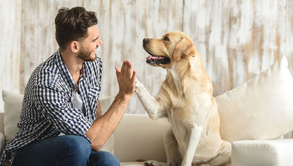 A man high fives a dog