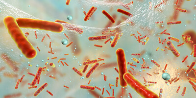 Digital illustration of bacteria