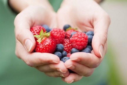 Hands cupped, holding collection of berries
