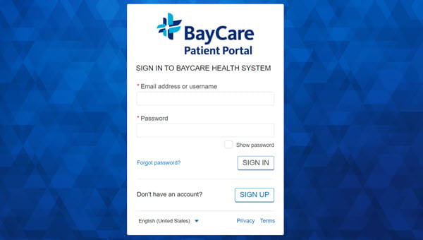 log in screen view