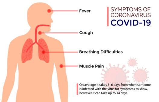 graphic that shows where common symptoms of covid affect the body