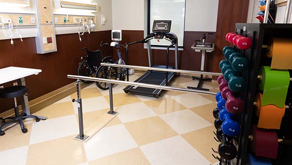 exercise room with dumbells, treadmill, and bicycle