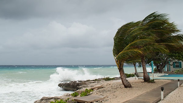 stormy windy beach scene