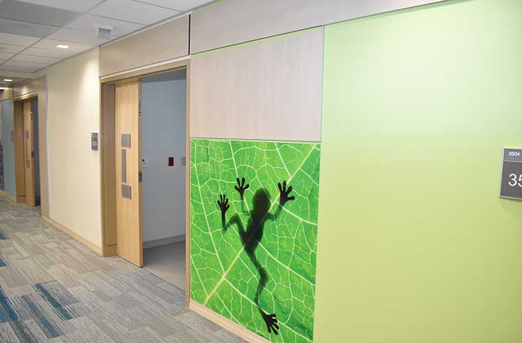 Pediatric inpatient floor at St. Joseph's Hospital-South