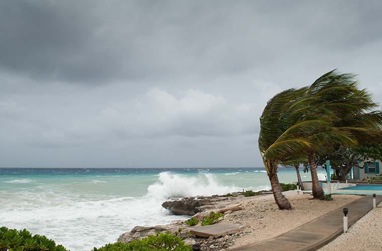 How to Prepare for Hurricane Ian 