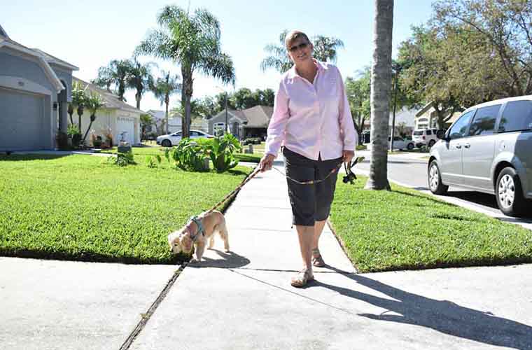 Dianna walks Ginger, her 11-year-old American cocker spaniel.