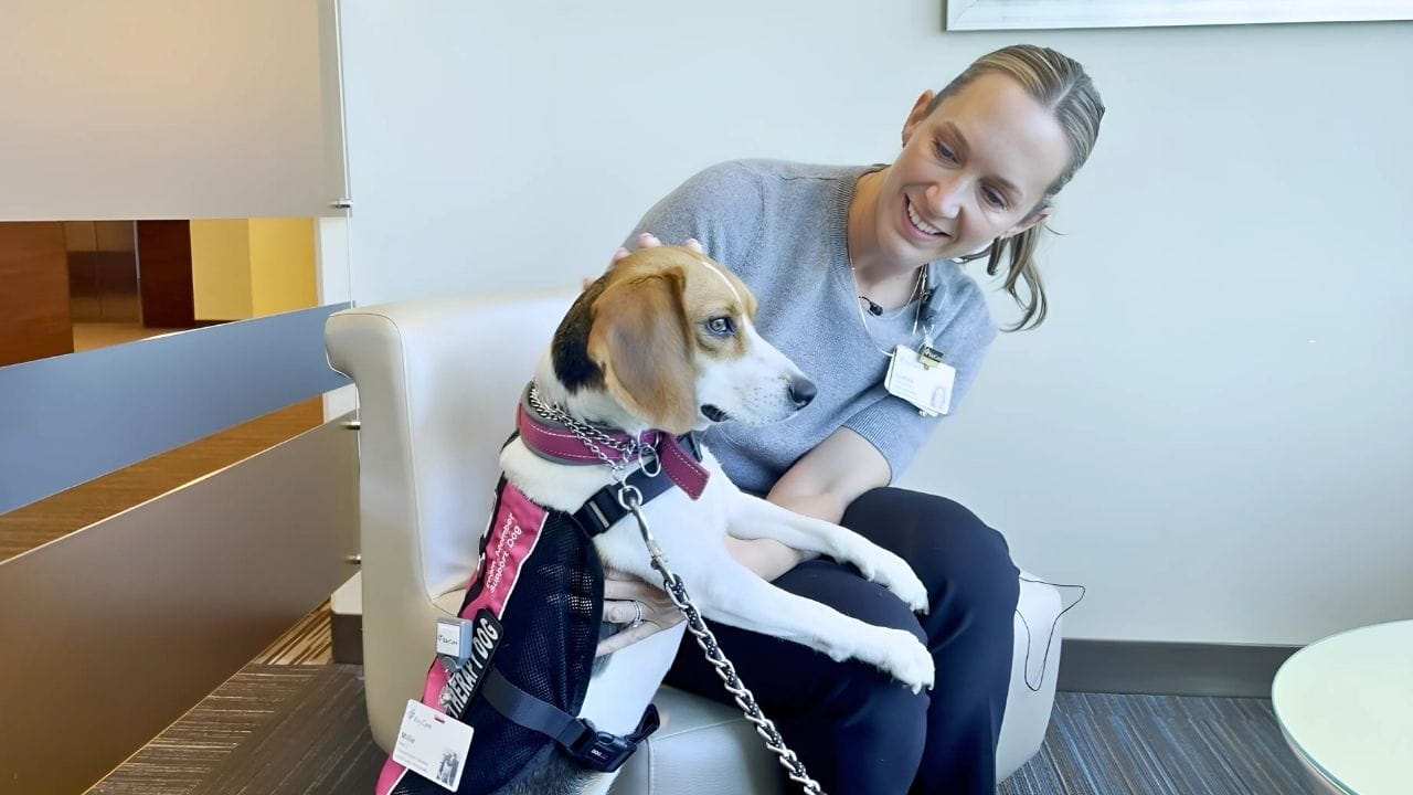 Millie’s Magic: How One Dog Is Changing Lives at BayCare