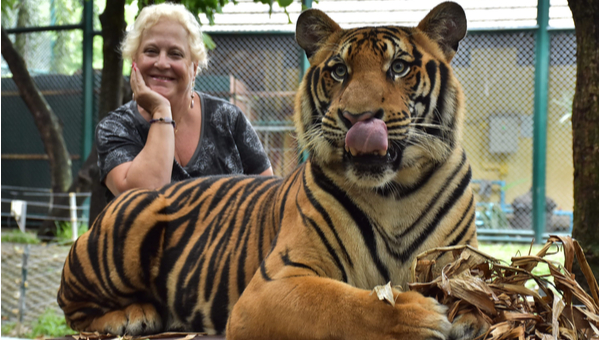 woman sitting next to live tiger