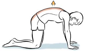 An illustration of a person doing a back press
